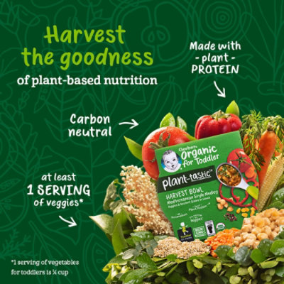 Grbr Plntstc Harv Bowl Med Medley - 4.5 OZ - Image 2