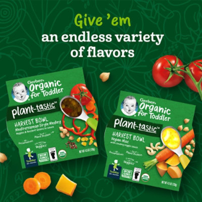 Grbr Plntstc Harv Bowl Med Medley - 4.5 OZ - Image 3