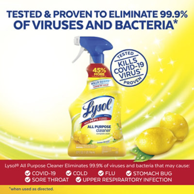 Lysol All Purpose Deodorizing Spray Lemon Breeze Cleaner Pack - 2-32 Oz - Image 2