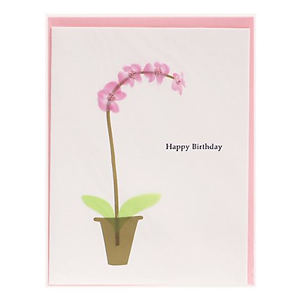 Papyrus Pink Orchid Birthday Card - Each - Image 1