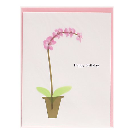Papyrus Pink Orchid Birthday Card - Each