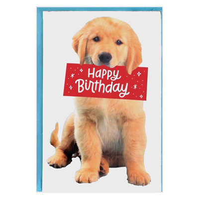 American Greetings Puppy Birthday Card - Each - Image 1