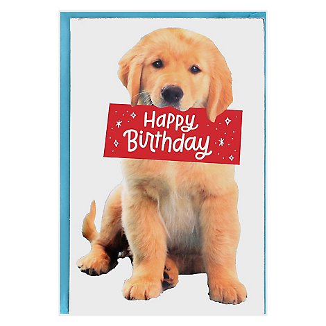 American Greetings Puppy Birthday Card - Each