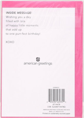 American Greetings Kitty with Balloon Birthday Card - Each - Image 4