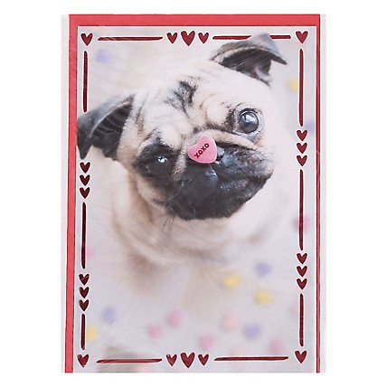 American Greetings Pug with Candy Heart Valentine's Day Card - Each - Image 3