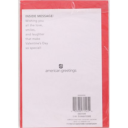 American Greetings Pug with Candy Heart Valentine's Day Card - Each - Image 4