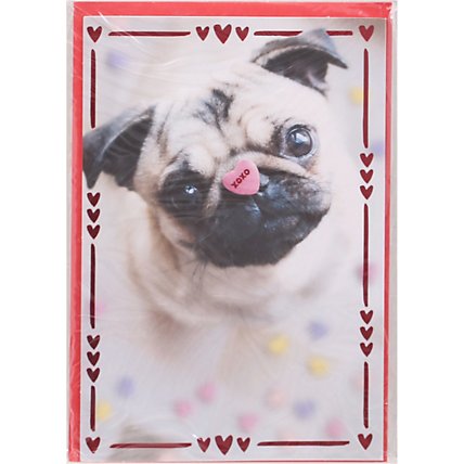 American Greetings Pug with Candy Heart Valentine's Day Card - Each - Image 2