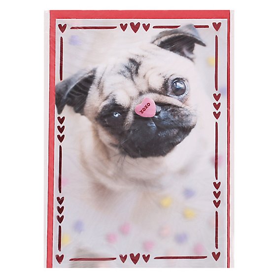 American Greetings Pug with Candy Heart Valentine's Day Card - Each