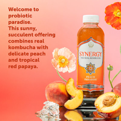 Synergy The Real Kombucha Peach Paradise - 16 Fl. Oz. - Image 2