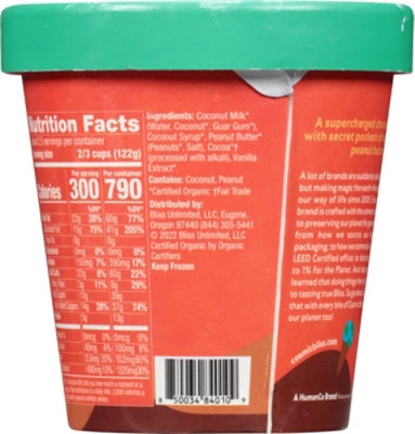 Cosmic Bliss Ice Cream Chocolate Peanut Butter - 1 PT - Image 6