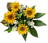 Sunflower Glow Bouquet Mixed - EA