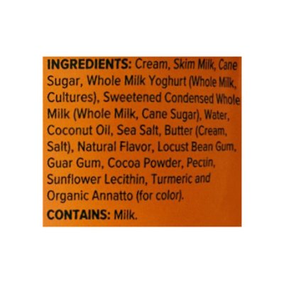 Noosa Yoghurt Gelato Seasalt Caramel - 14 OZ - Image 5