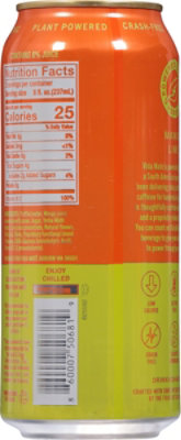 Vida Mate Mango Lime 16oz - 16 FZ - Image 6