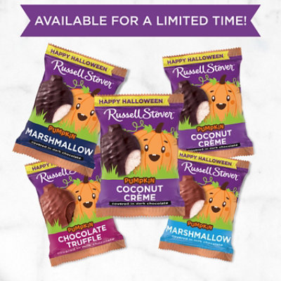 Russell Stover Dark Chocolate Coconut Creme Pumpkin - 1.3 Oz - Image 4