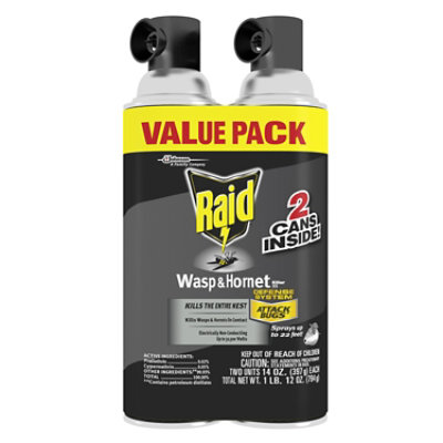 Raid Wasp And Hornet Killer Insecticide Aerosol Spray - 2-14 Oz - Image 1