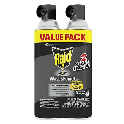 Raid Wasp & Hornet Killer Insecticide Aerosol Spray - 2-14 Oz - Image 1