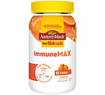 Nature Made Wellblends Immunemax Gummies 42 Count - 42 CT