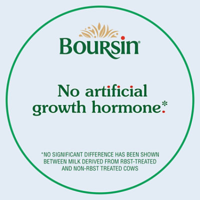 Boursin Gournay Style Garlic & Fine Herbs Cheese Bites - 4.23 Oz - Image 7