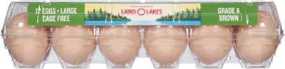 Land O Lakes Cage Free Large Brown Eggs  - 12 Count - Image 2