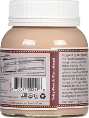 Gt Yogurt Cocoyo Cacao - 8 OZ - Image 6