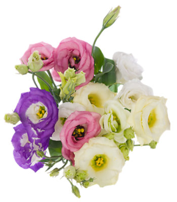 4 Stem Lisianthus - EA - Image 1