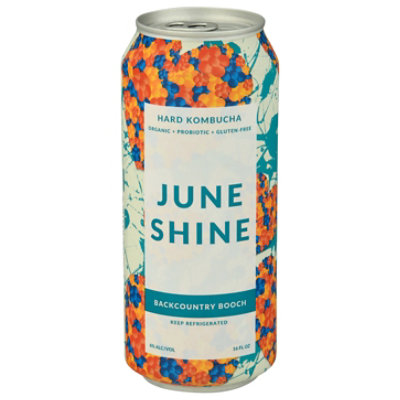 June Shine Seasonal Hard Kombucha - 16 FZ - Image 1