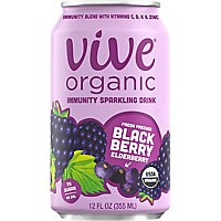 Vive Org Immunity Drink Blackberry Elderberry - 12 OZ - Image 2