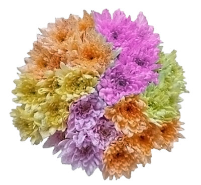 Easter Egg Poms 6 Stem - 14 Count - Image 1