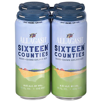 Allagash 16 Counties In Cans - 4-16 FZ - Image 3
