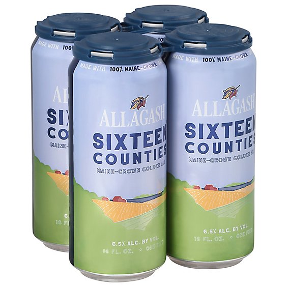 Allagash 16 Counties In Cans - 4-16 FZ