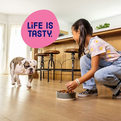 Kibbles N Bits Small Breed Savory Beef And Chicken Flavors Mini Bites - 16 Lb - Image 2