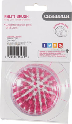 Mini Scrub Brush With Holder - EA - Image 4