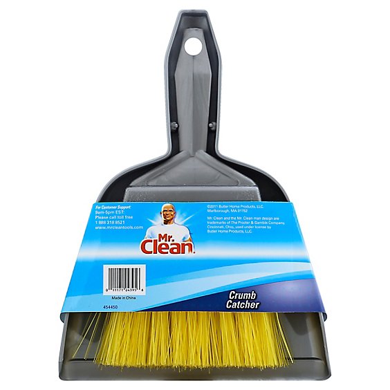 Mr Clean Dust Pan Set - EA