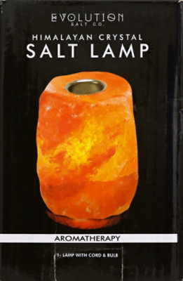 Evolution Salt Lamp Essnt Oil - EA - Image 3