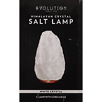 Evolution White Natl Salt Crystal Lamp - EA - Image 4