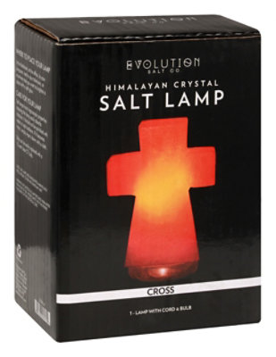 Evolution Lamp Himalayan Salt - 6 LB