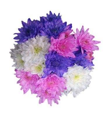 Blooms For Mom Pom Bunch 6 Stem - Each - Image 1
