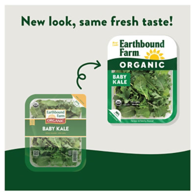 Org E/f Baby Kale 5oz - 5 OZ - Image 2