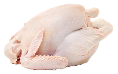 Perdue Chicken Roaster Oven Stuffer 7 Lb Safeway