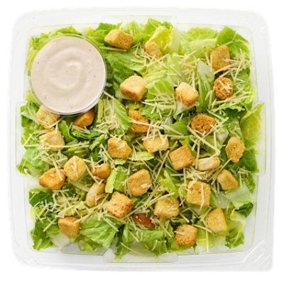 Salad Caesar Xl Cold - EA - Image 1