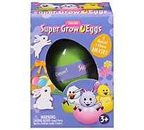 Easter Hide & Hatch Em Eggs - 1 EA