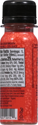 Remedy Protect Me Juice Shot Protect Me - 2 Fl. Oz. - Image 6