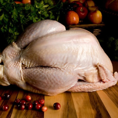 3d Standing Turkey - 5.6 OZ - Image 1