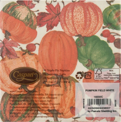Caspari Cocktail Pumpkin Field Napkin 20 Count JewelOsco
