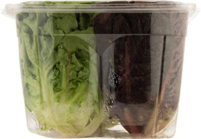 T&a Artisan Lettuce Pkg - 4 CT - Image 2