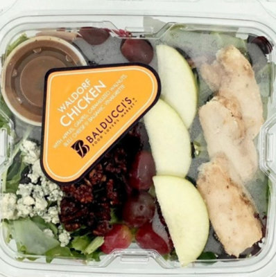 Salad Chicken Waldorf Ss Cold - 9 OZ
