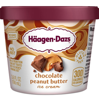 Haagen-Dazs Chocolate Peanut Butter Ice Cream Cup - 3.6 Fl. Oz. - Image 1