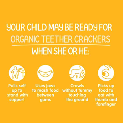 Happy Baby Organic Gluten Free Mango & Pumpkin Teether Crackers with Amaranth Pack - 12-0.14 Oz - Image 2