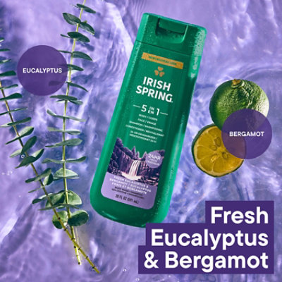 Irish Spring Irish Spring Body Wash 5 In 1 - 20 FZ - Image 1