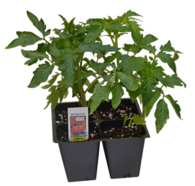 Vegetable Cell Pack - EA - Image 1